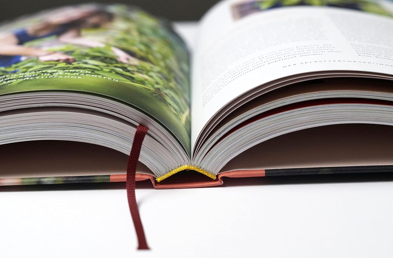 Selbstversorgung: Dein eigenes Gemüse anbauen, mit Hühnern kuscheln, in selbstgebackenes Brot beißen. Deutscher Gartenbuchpreis 2023, 1. Platz Bester Ratgeber