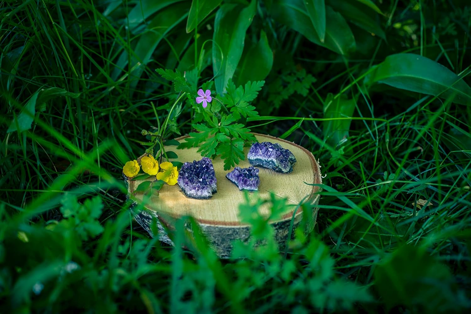 Amethyst Kristalle | 100% naturbelassene Drusenstücke | 3er Set