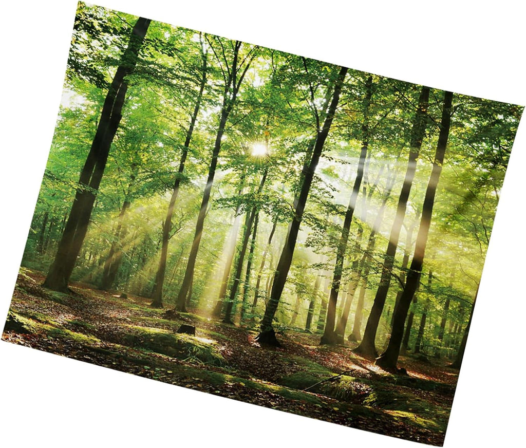 MIGIFTDY Waldbaum Wandteppich Extra Großer Nebliger Wald Wandbehang für Home Office Dorm Indoor und Outdoor Dekoration 150 cm x 200 cm (B)