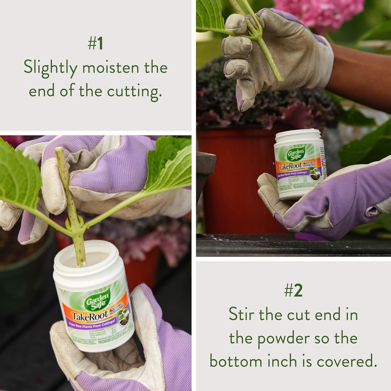 Garden Safe Wurzelwurzelhormon, fördert die Wurzelbildung, wächst Neue Pflanzen aus Stecklingen, (12er-Pack) 57 ml