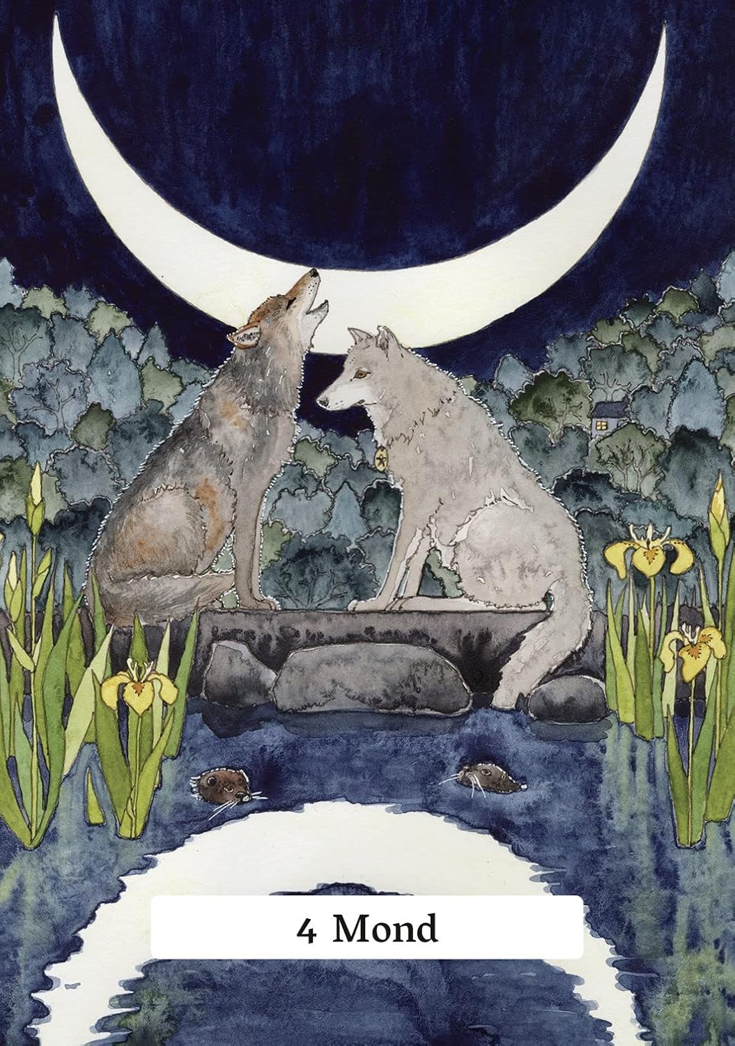 Das Tarot der Hexenweisheit: 78 Tarotkarten & Deutungsbuch mit 176 Seiten