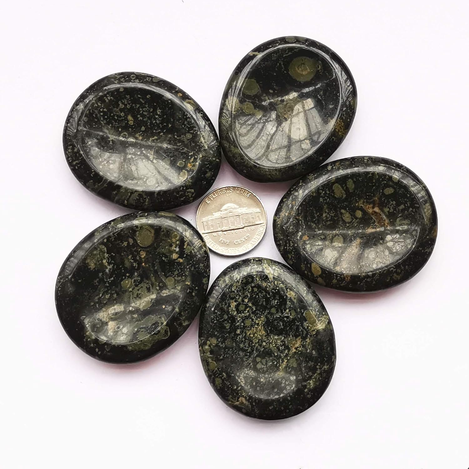 Natural Kambaba Jasper Water Drops Chakra Thumb Worry Stone Stress Relax Healing Reiki Crystal Bags Palm Stones