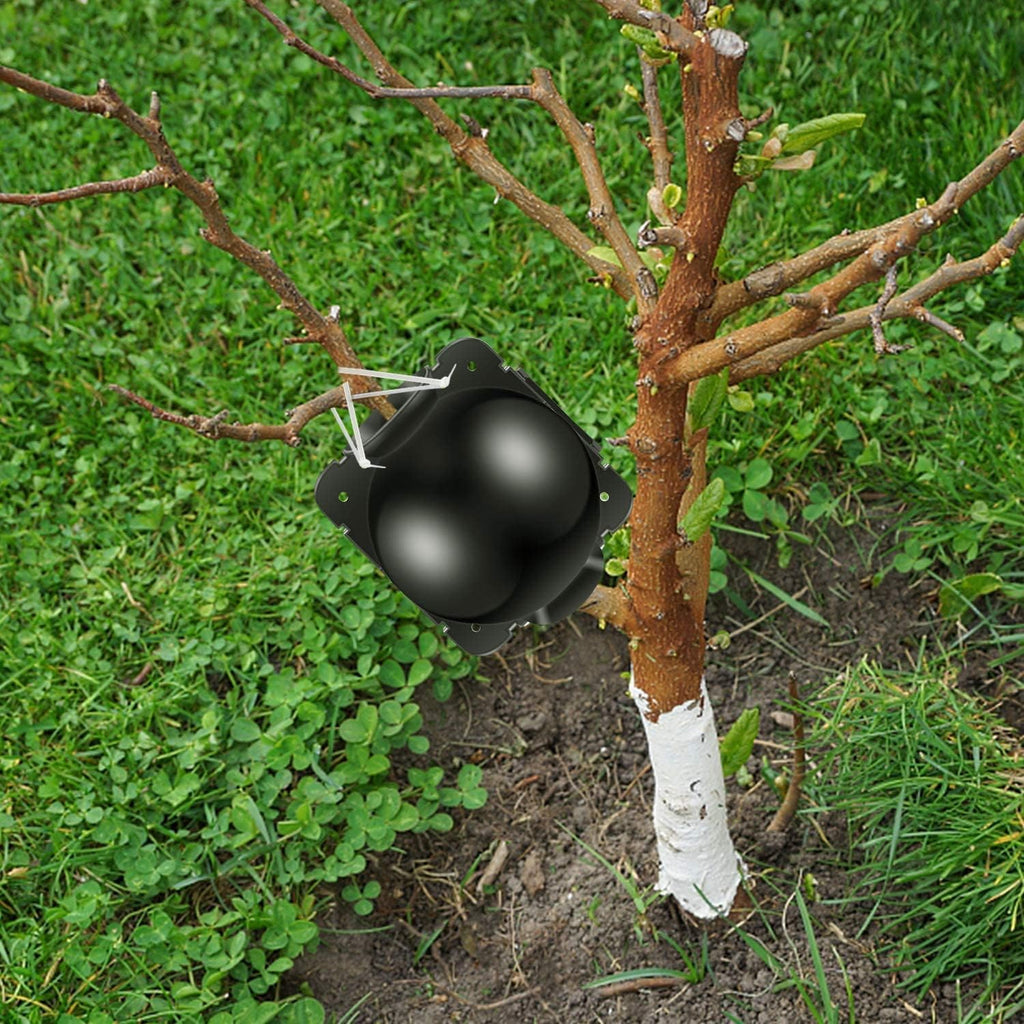 20 Stücke Pflanzenwurzelbox, Pflanzenwurzelgerät Wiederverwendbares Pflanzenwurzelgerät Hochdruck-Vermehrungsball für Bäume Blumen Garten Boden Veredelungsbox, Schwarz-Mittel