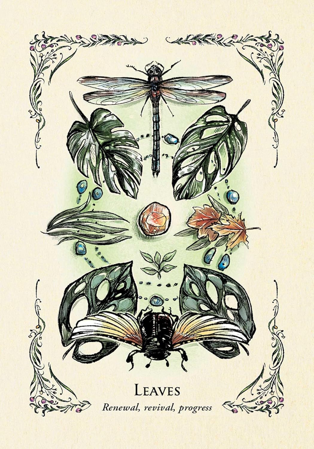 The Green Witch's Oracle Deck: Embrace the Wisdom and Insight of Natural Magic (Green Witch Witchcraft Series)
