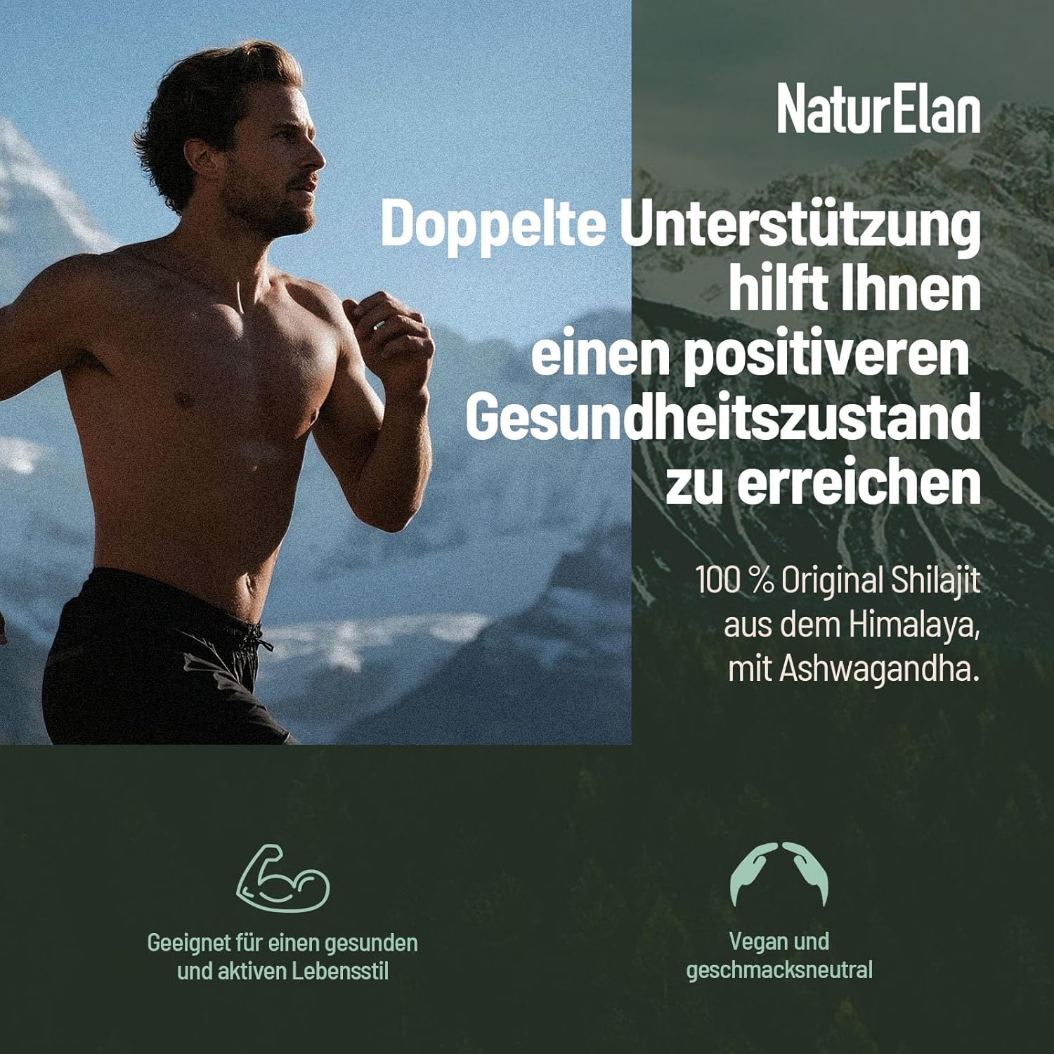 Shilajit kapseln Original Himalaya Mumijo - 1000mg pro Tagesdosis, mit Ashwagandha, vegan & laborgeprüft