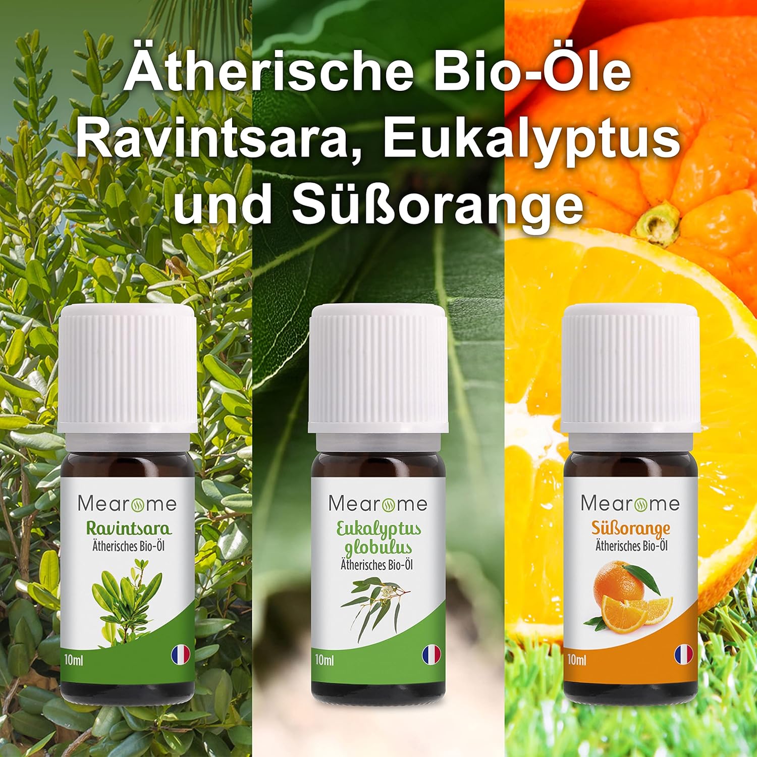 ÄTHERISCHE ÖLE SET BIO-Zertifiziert Duftöl Pur 100% Naturrein, Aroma Diffuser Ravintsara Lavendin Pfefferminzöl Zitrone Eukalyptusöl Süßorangenöl Aromatherapie Geschenk Idee Massageöle Geschenkset