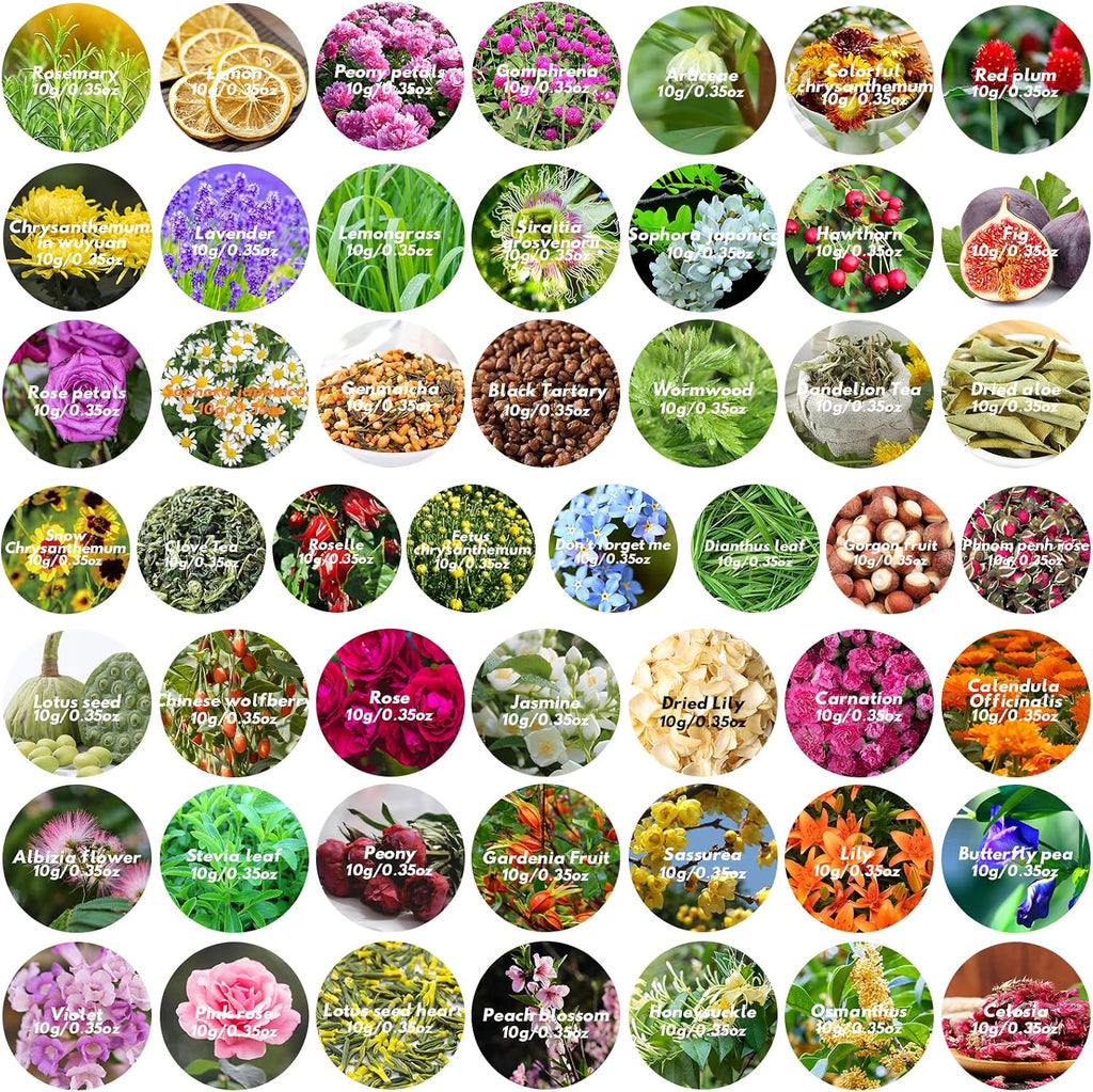 Dried Herbs and Flowers for Candle Soap Making, Lavender Rose for DIY Craft | 50 Bags Witchcraft Herbs for Altar Decor, Pagan Ritual, Bulk Botanical Jasmine Peony Rosemary Ideal for Resin Pressed Flowers
