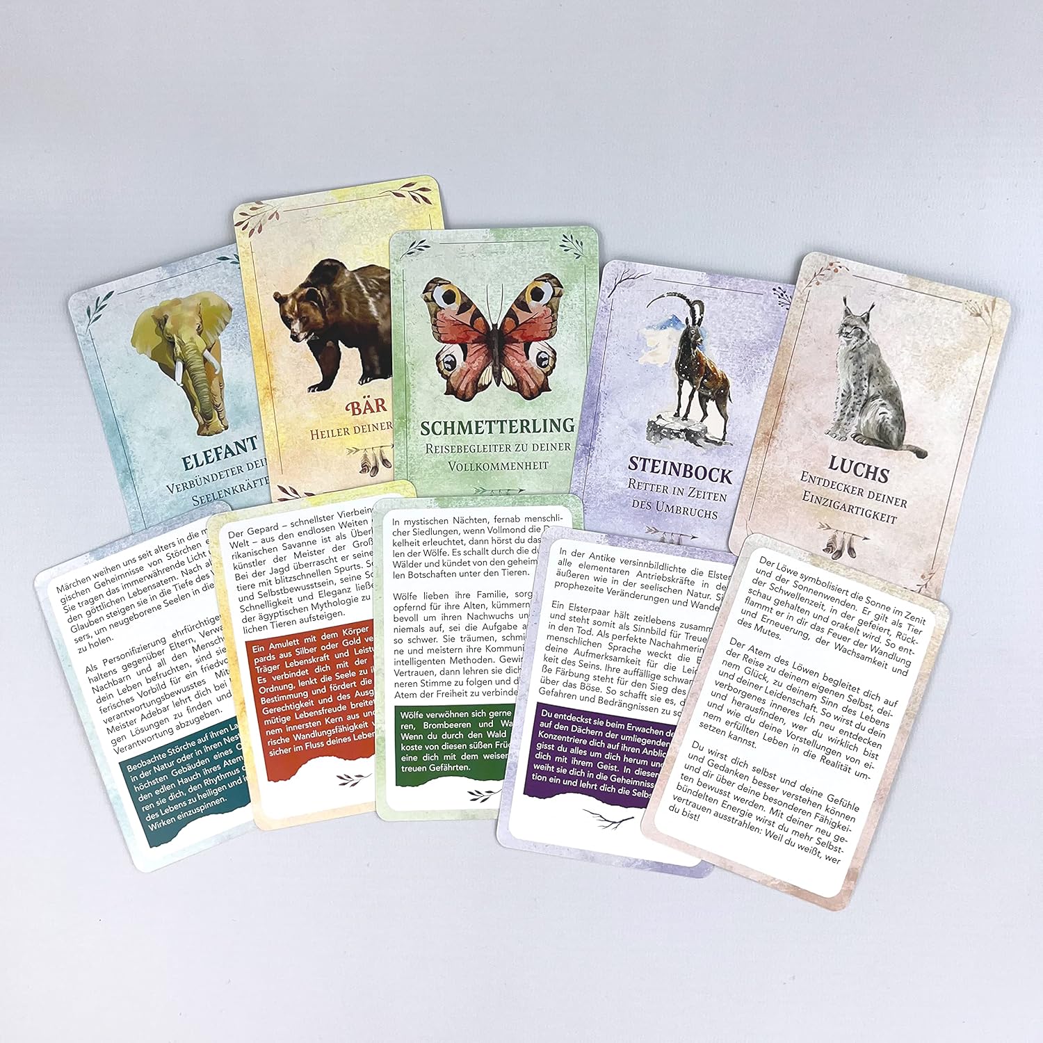 Krafttiere – Begleiter, Helfer und Beschützer: 55 Orakelkarten mit Anleitung. Ein spiritueller Begleiter für den Alltag