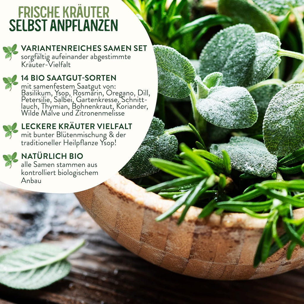 BIO Kräuter Samen Set - 14 Sorten Kräutersamen aus biologischem Anbau, samenfestes Bio Saatgut, Küchenkräuter Set für Küche, Balkon und Garten, 14er Samen Set (Samensorten können etwas variieren)