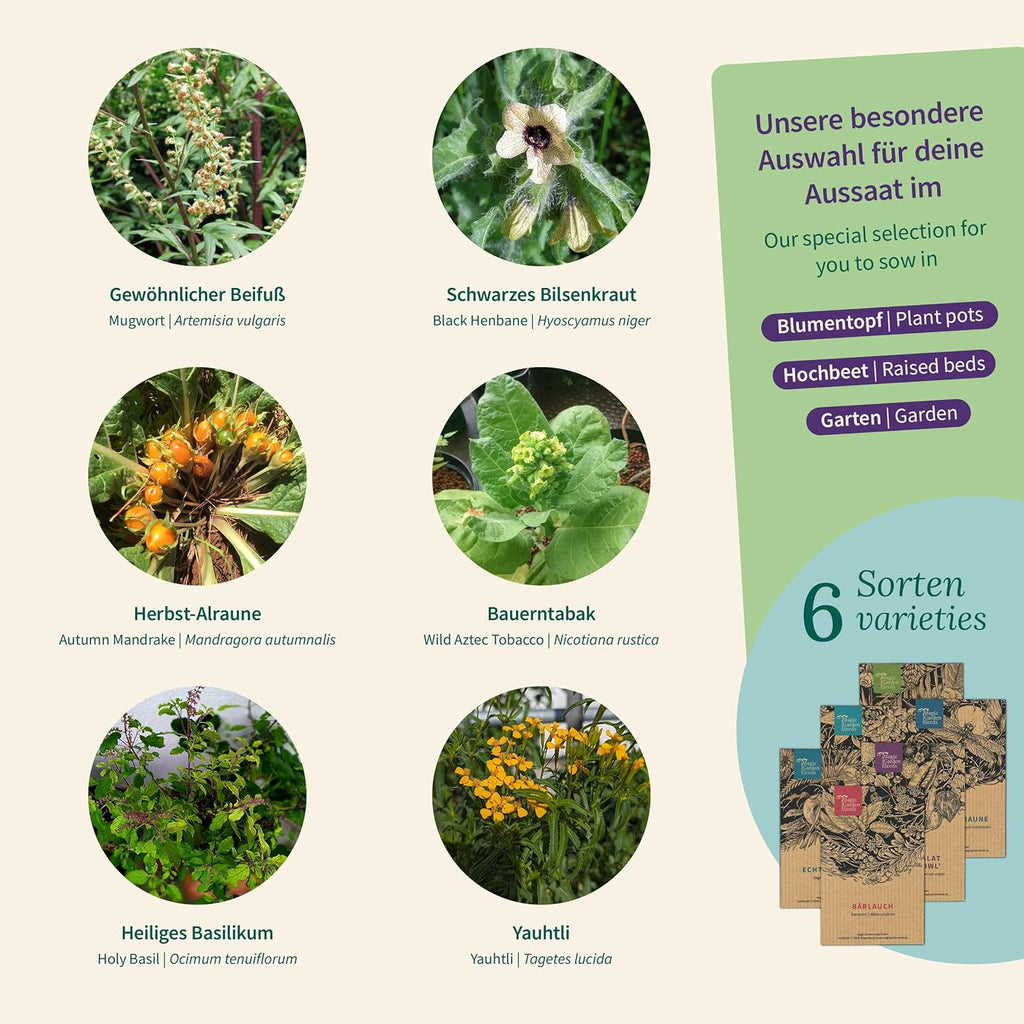 Magic Garden Seeds - Magic Plants with 6 Magic Herbs: Mugwort, Bilsenkraut, Alraune & More - Smoked Plants to Grow Yourself & Give as a Gift