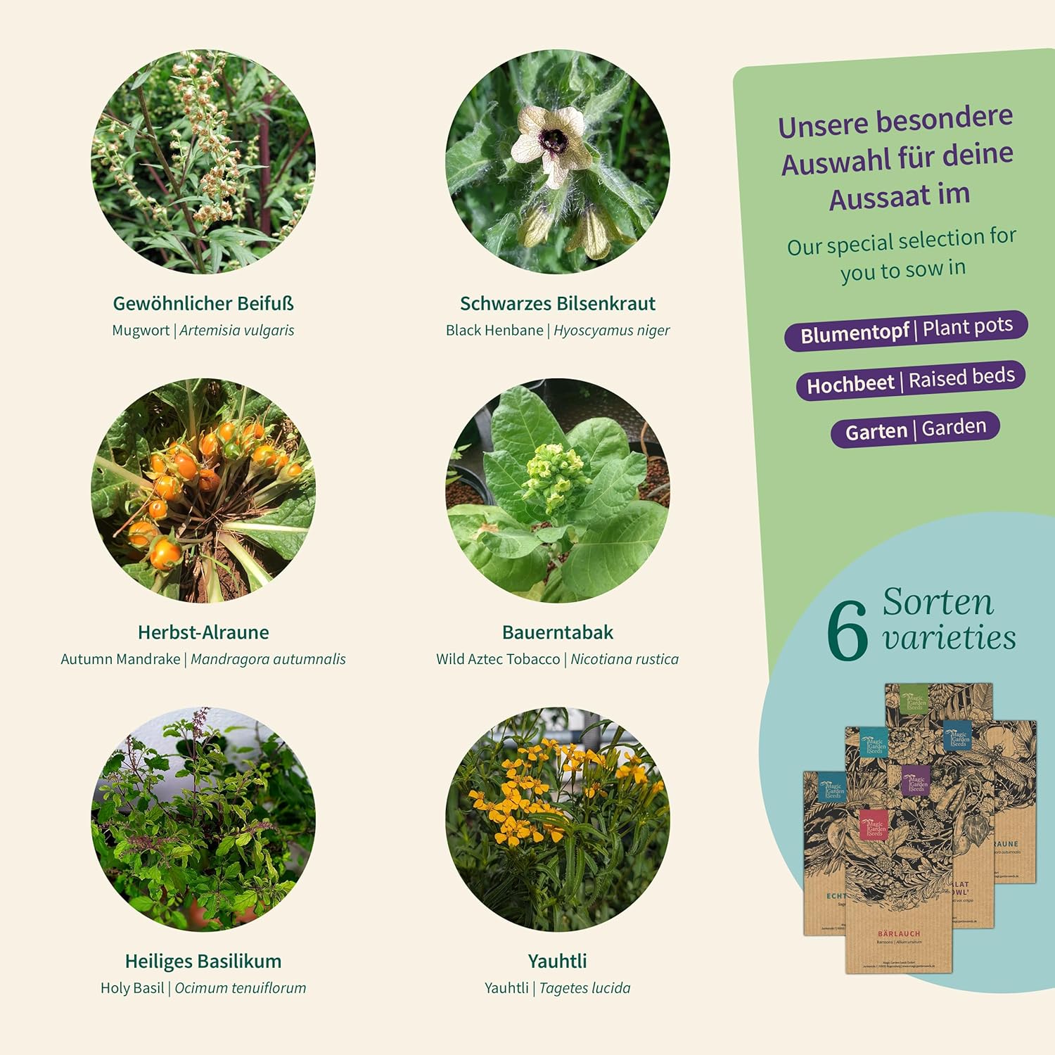 Magic Garden Seeds - Magic Plants with 6 Magic Herbs: Mugwort, Bilsenkraut, Alraune & More - Smoked Plants to Grow Yourself & Give as a Gift