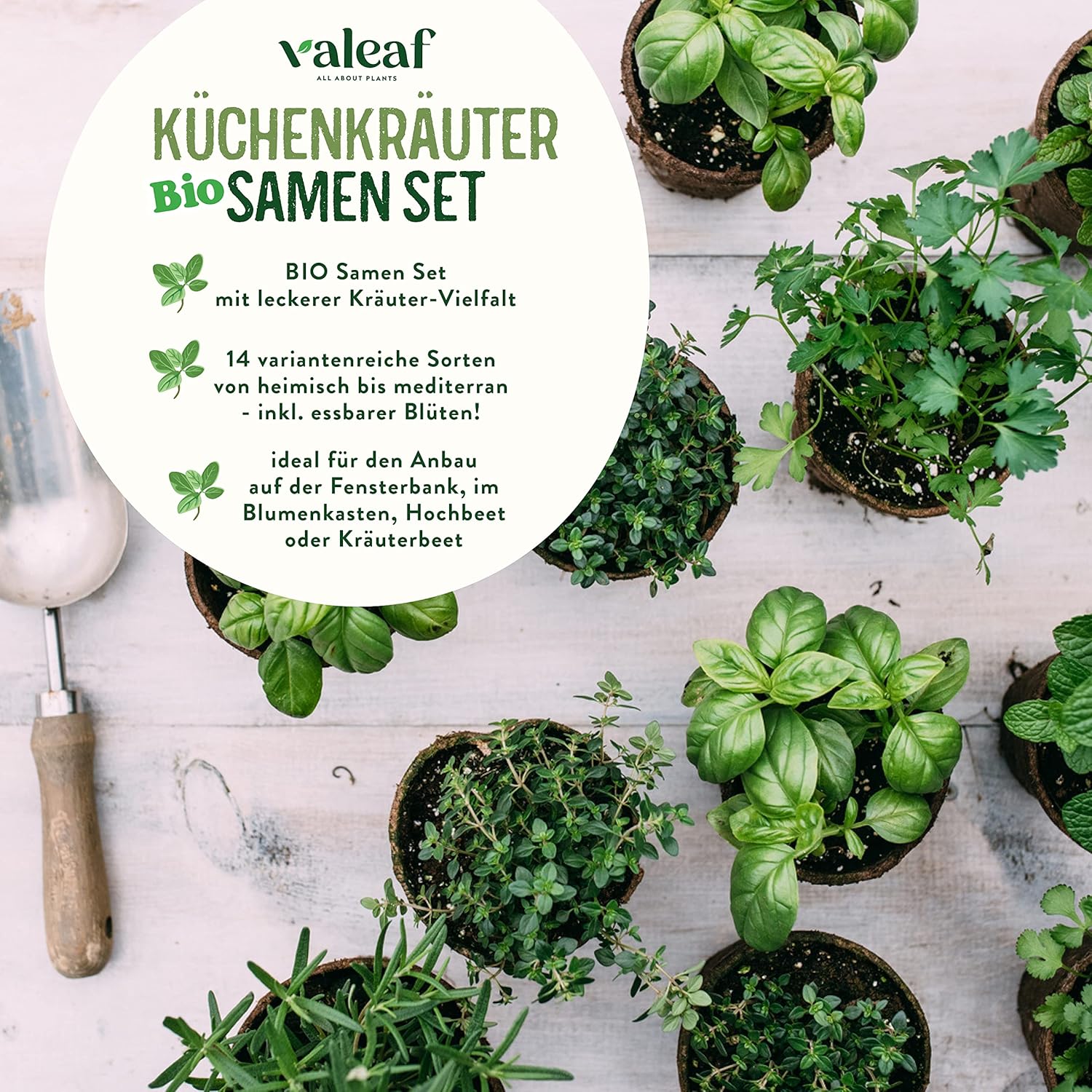 BIO Kräuter Samen Set - 14 Sorten Kräutersamen aus biologischem Anbau, samenfestes Bio Saatgut, Küchenkräuter Set für Küche, Balkon und Garten, 14er Samen Set (Samensorten können etwas variieren)