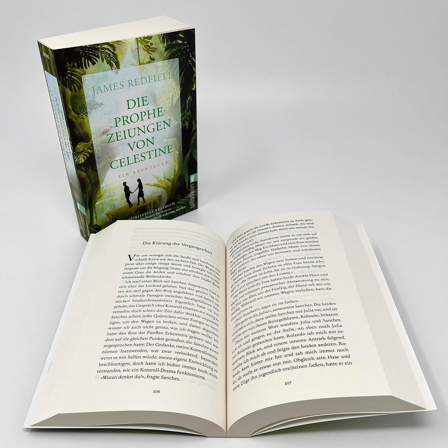 Die Prophezeiungen von Celestine: Ein Abenteuer. Das spirituelle Kultbuch | Neues Nachwort: Wie du deine eigene Celestine-Erfahrung machst