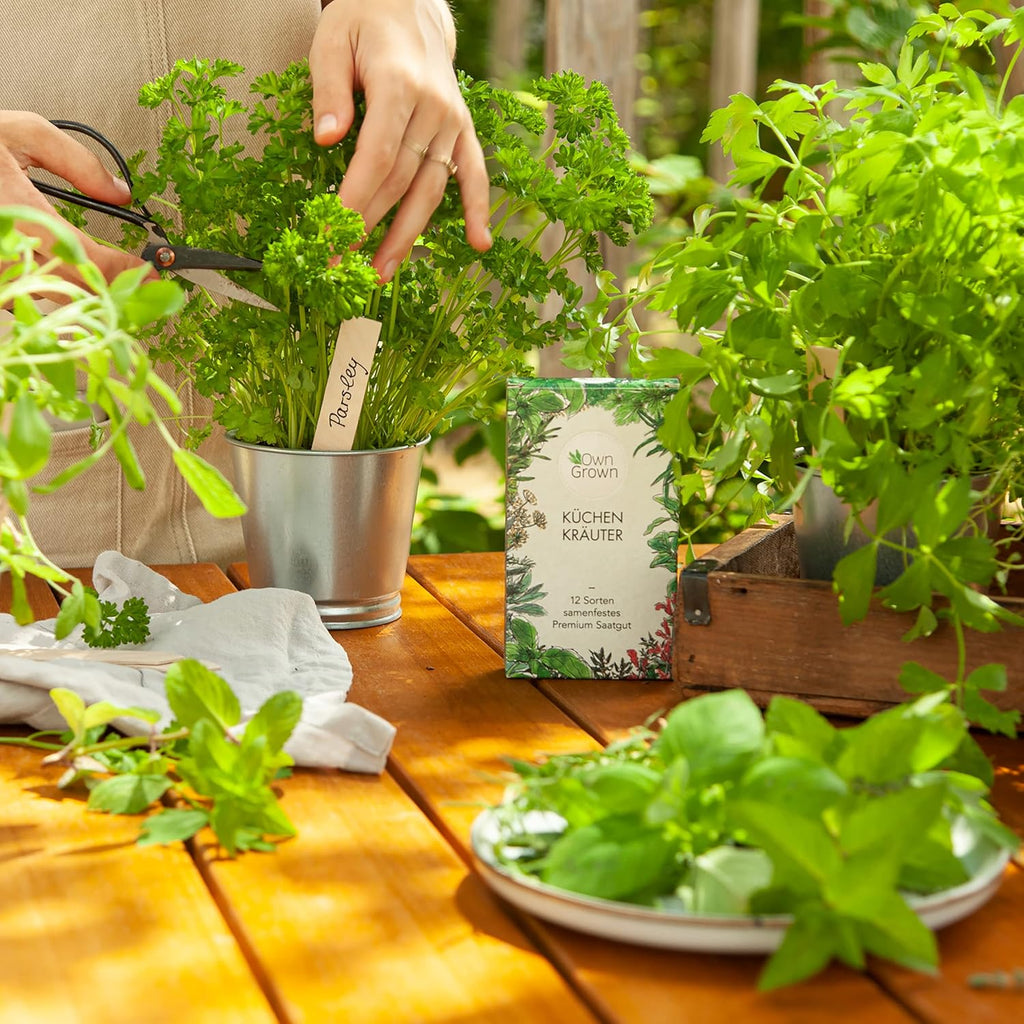 OwnGrown Kräuter Samen Set 12 Sorten Garten und Küchenkräuter Samen - Petersilie, Kräuter der Provence, italienische Kräuter, Koriander Samen, Dill, Kräutersamen für Balkon, und Hochbeet