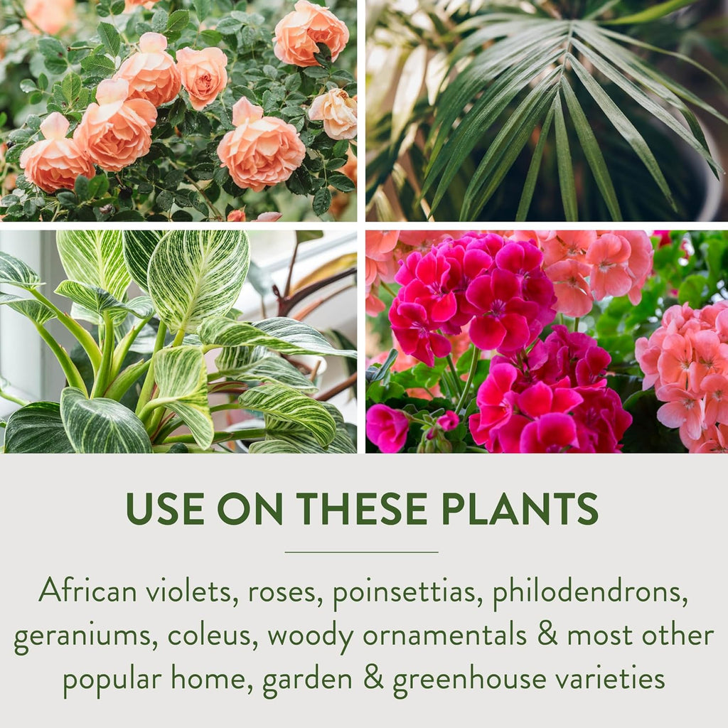 Garden Safe Wurzelwurzelhormon, fördert die Wurzelbildung, wächst Neue Pflanzen aus Stecklingen, (12er-Pack) 57 ml