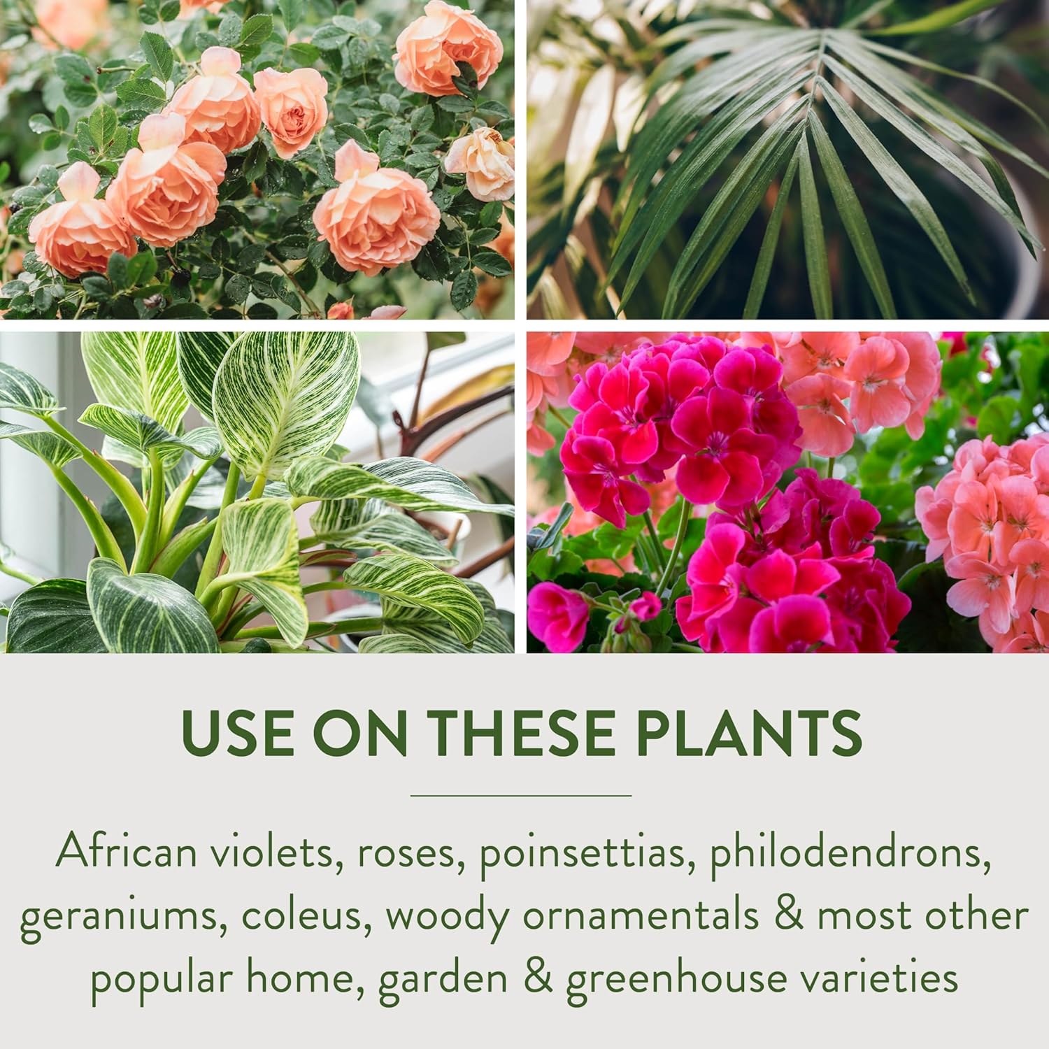 Garden Safe Wurzelwurzelhormon, fördert die Wurzelbildung, wächst Neue Pflanzen aus Stecklingen, (12er-Pack) 57 ml