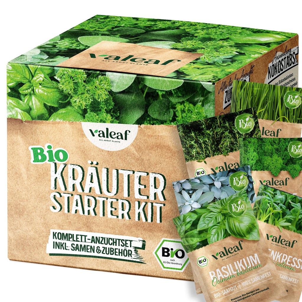 BIO Kräuter Samen Set - 14 Sorten Kräutersamen aus biologischem Anbau, samenfestes Bio Saatgut, Küchenkräuter Set für Küche, Balkon und Garten, 14er Samen Set (Samensorten können etwas variieren)