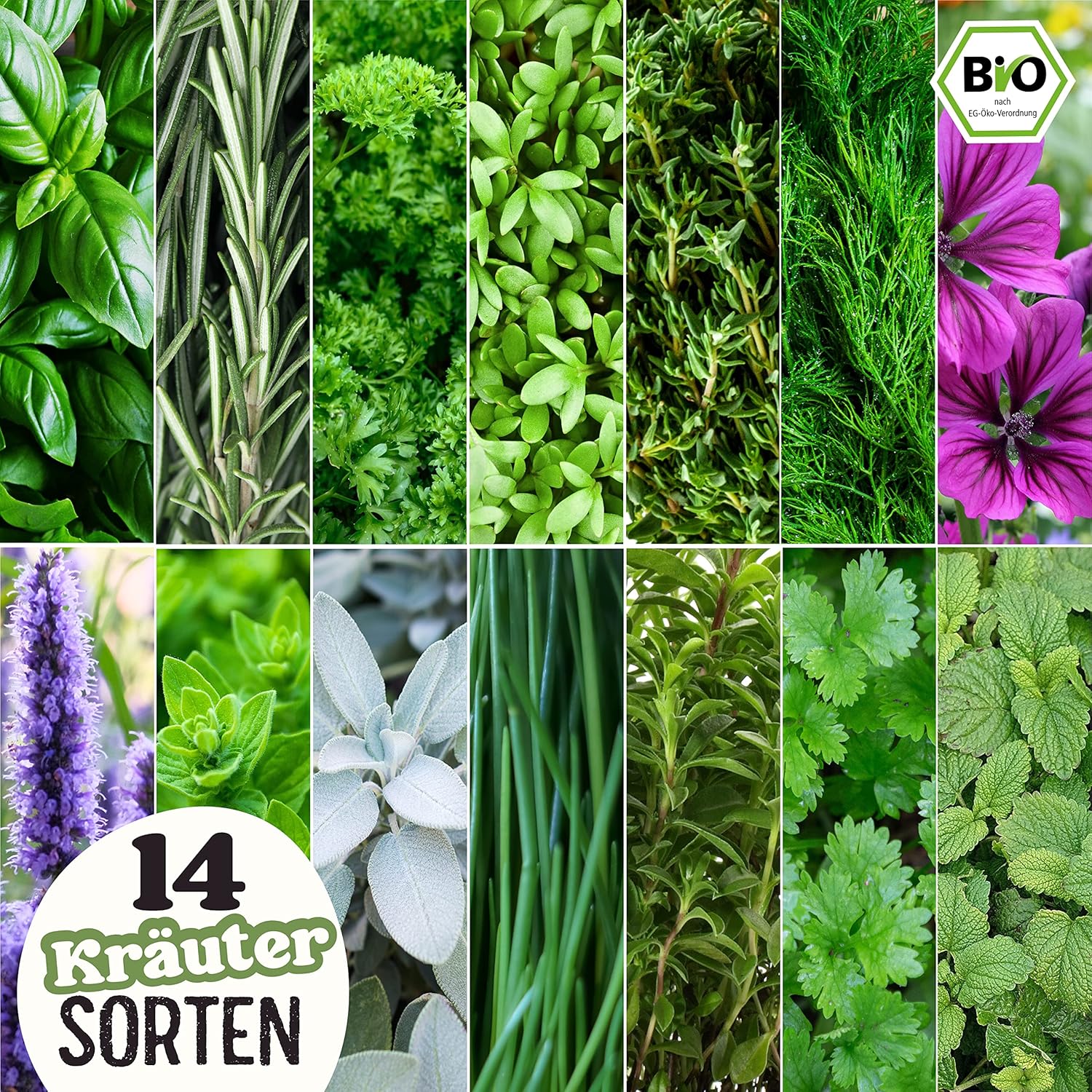 BIO Kräuter Samen Set - 14 Sorten Kräutersamen aus biologischem Anbau, samenfestes Bio Saatgut, Küchenkräuter Set für Küche, Balkon und Garten, 14er Samen Set (Samensorten können etwas variieren)