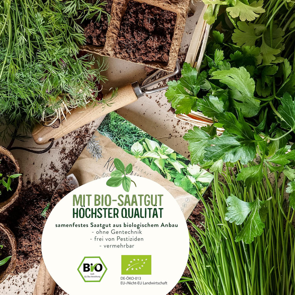 BIO Kräuter Samen Set - 14 Sorten Kräutersamen aus biologischem Anbau, samenfestes Bio Saatgut, Küchenkräuter Set für Küche, Balkon und Garten, 14er Samen Set (Samensorten können etwas variieren)