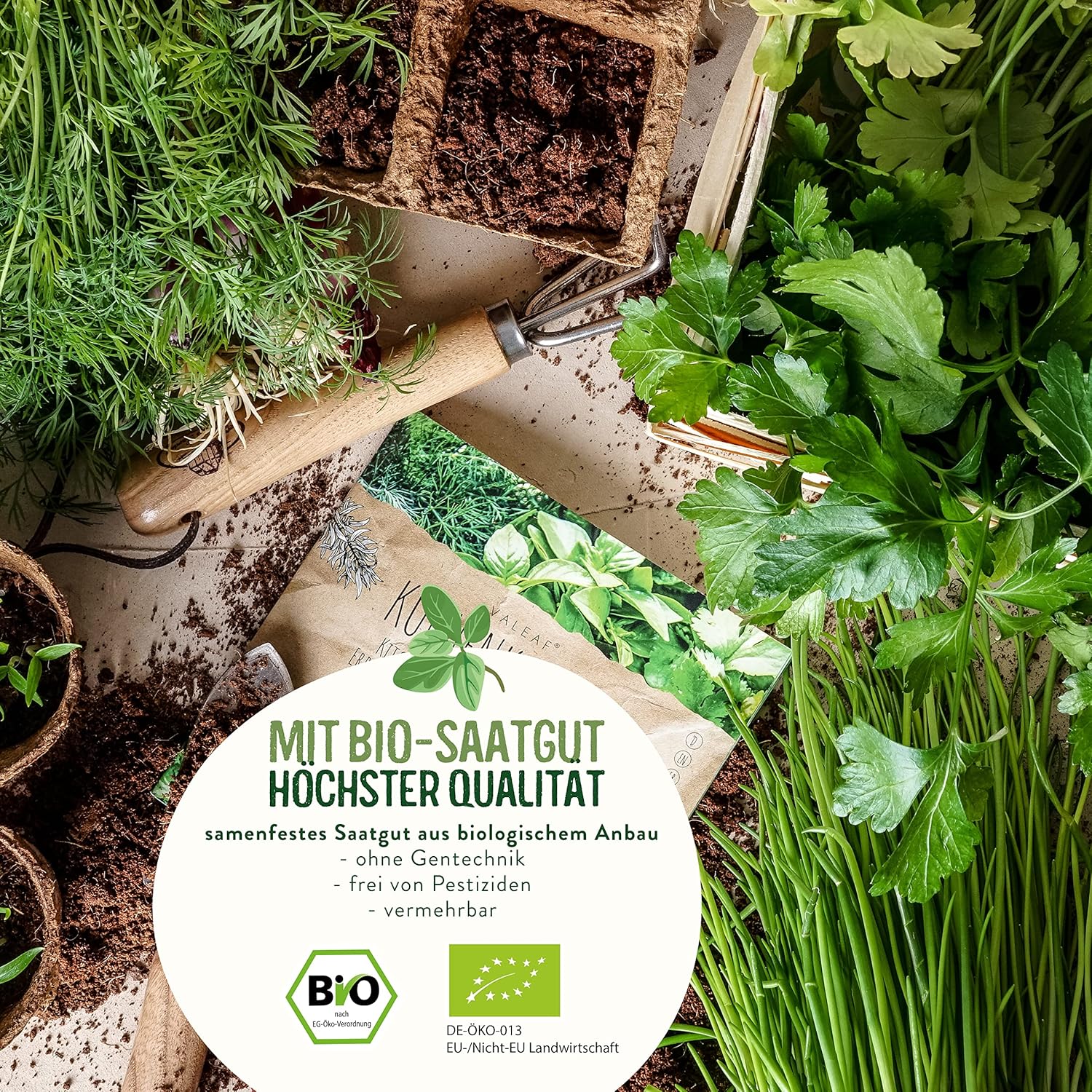BIO Kräuter Samen Set - 14 Sorten Kräutersamen aus biologischem Anbau, samenfestes Bio Saatgut, Küchenkräuter Set für Küche, Balkon und Garten, 14er Samen Set (Samensorten können etwas variieren)