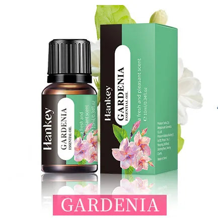 20 Flavors 10ml Essential Oils for Aroma Diffuser Air Humidifier Home Water-soluble Lavender Vanilla Orange Olive Fragrance Oil