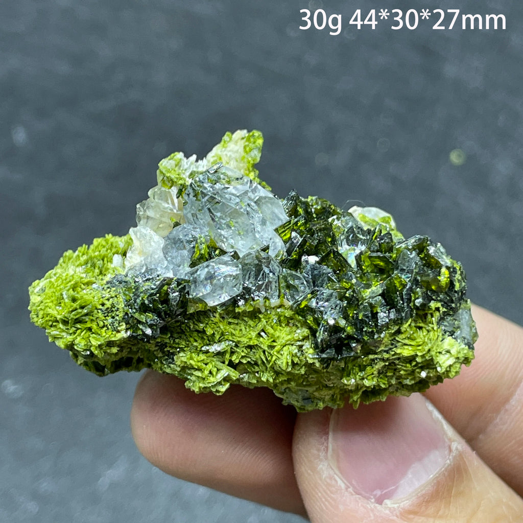 Natural Green Epidote with Clear Quartz Crystal Symbiosis Rough Specimen Healing Teaching Stone for Home Decor