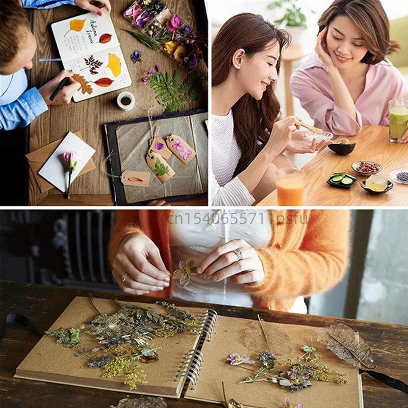 Quality Natural Dried Flowers Wiccan Rituals, Magic Spell, Altar Supplies Healing Candle Soap Fragrant Sachet Making Home Decor