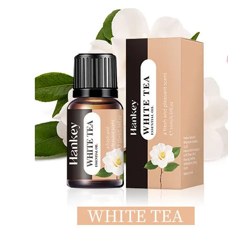 20 Flavors 10ml Essential Oils for Aroma Diffuser Air Humidifier Home Water-soluble Lavender Vanilla Orange Olive Fragrance Oil