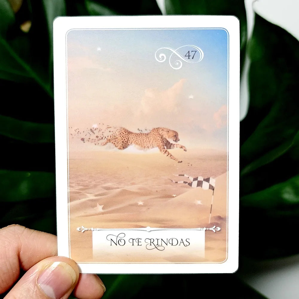 Oracle of Wisdom To Make Decisions In Life 10.5*7.5cm 52 Divination Oracle Cards Spanish Edition