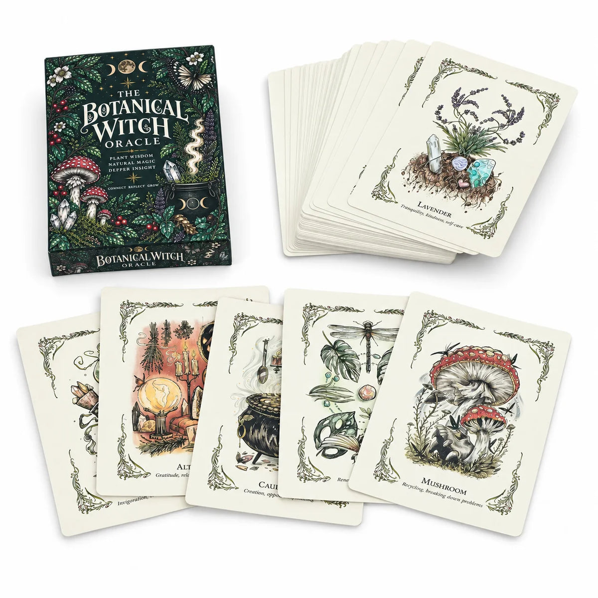 The Botanical Witch Oracle Deck Botanical Oracle Cards for Intuition Self Reflection Plant Wisdom Natural Magic Spiritual Guidan
