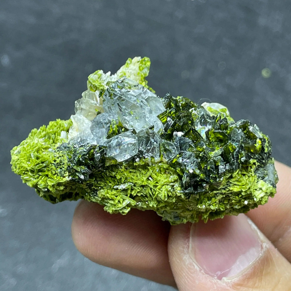 Natural Green Epidote with Clear Quartz Crystal Symbiosis Rough Specimen Healing Teaching Stone for Home Decor