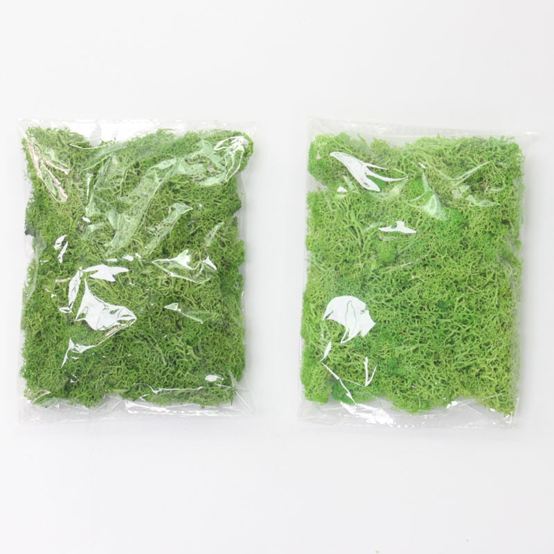 Artificial Eternal Life Moss