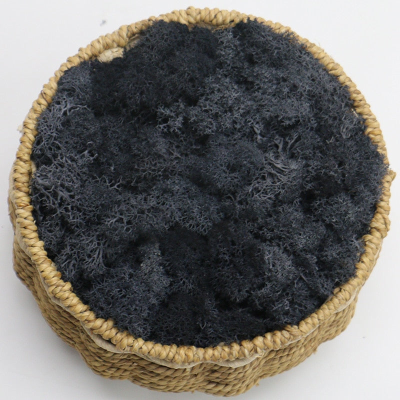 Artificial Eternal Life Moss