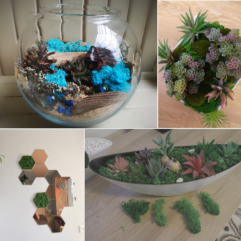 Artificial Eternal Life Moss