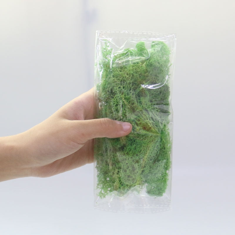 Artificial Eternal Life Moss