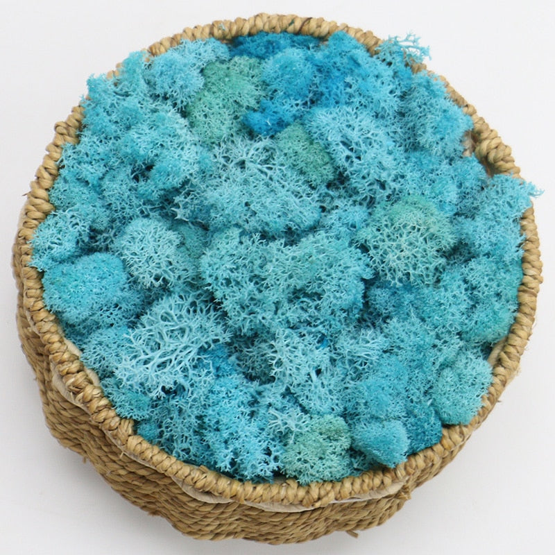 Artificial Eternal Life Moss