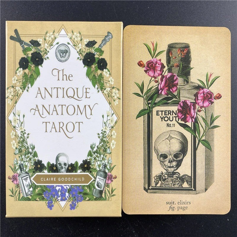 The Antique Anatomy Tarot Deck 78 Cards Vintage