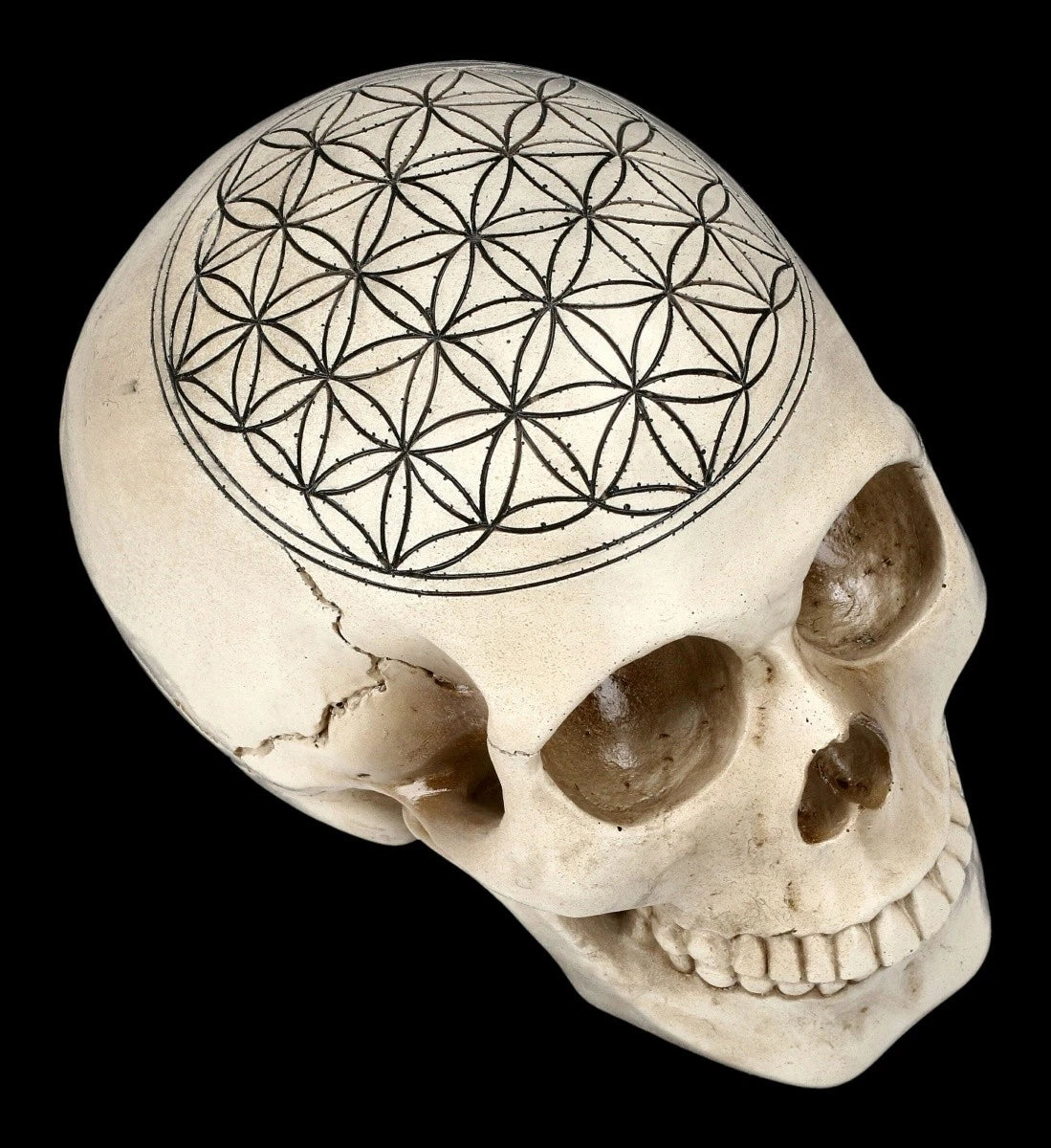 Totenkopf Heilige Geometrie - Blume des Lebens - spirituelle Schädel Figur - Dek