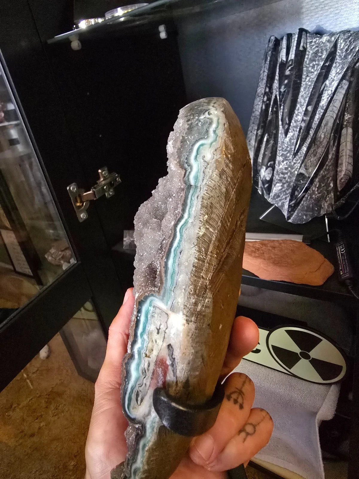 crystals/geode<wbr/>. Druzy Quartz Amethyst Geode from fossilera.
