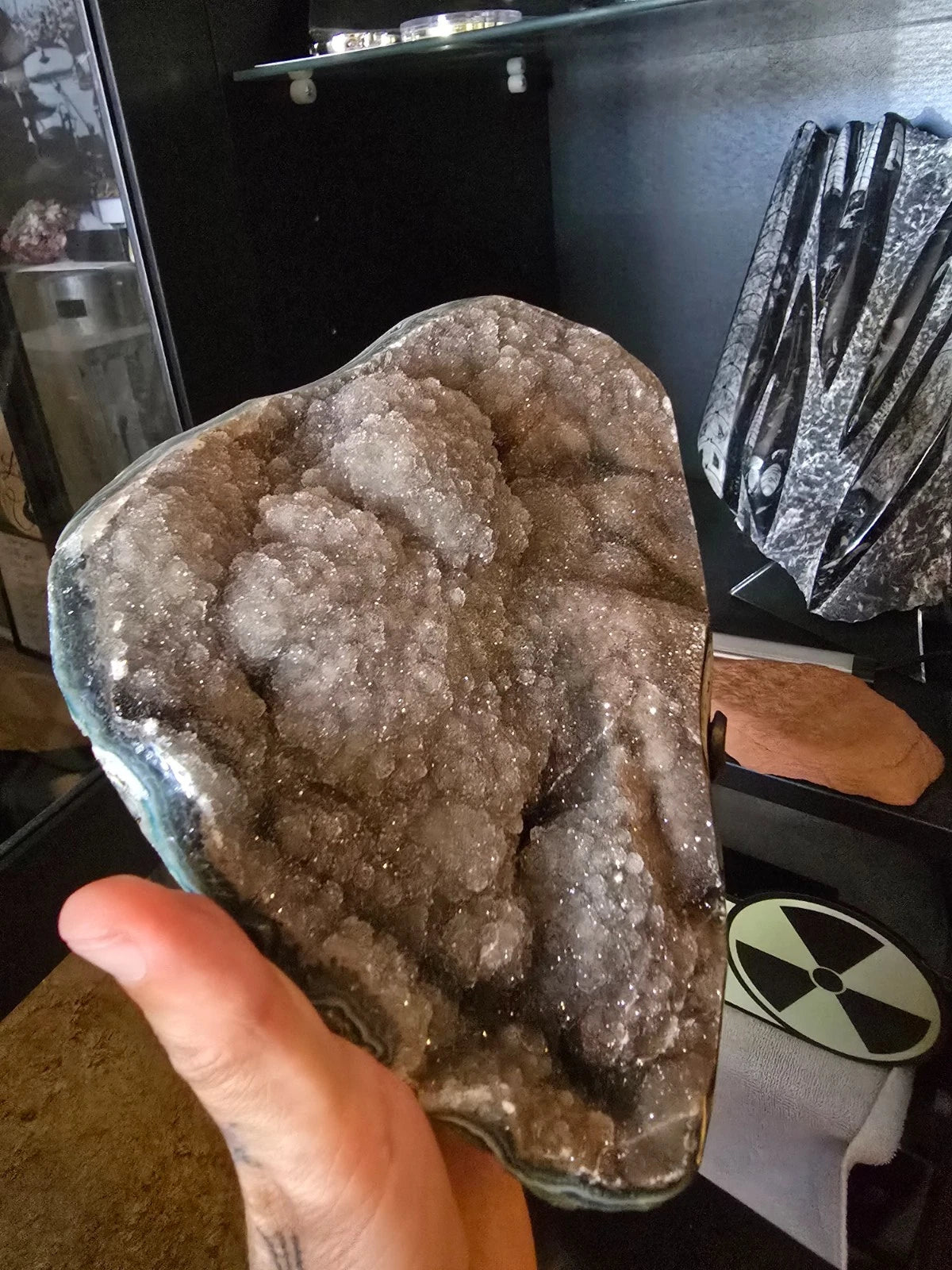 crystals/geode<wbr/>. Druzy Quartz Amethyst Geode from fossilera.