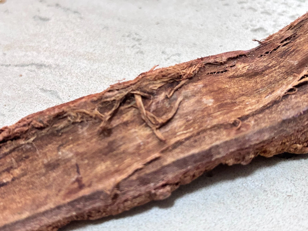 African Mahogany Khaya Senegalensis Bark for Energy and Aura Cleansing 250 g
