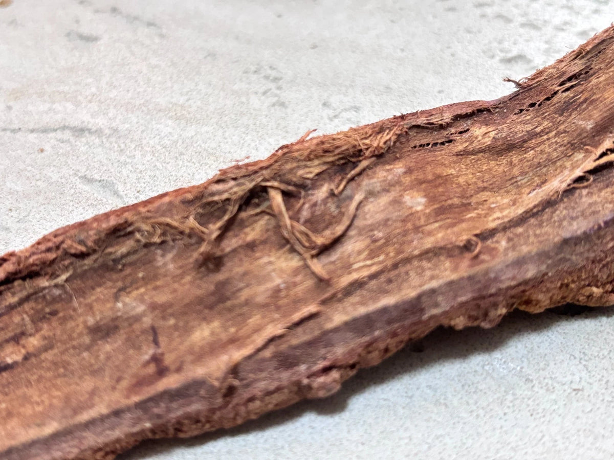African Mahogany Khaya Senegalensis Bark for Energy and Aura Cleansing 250 g