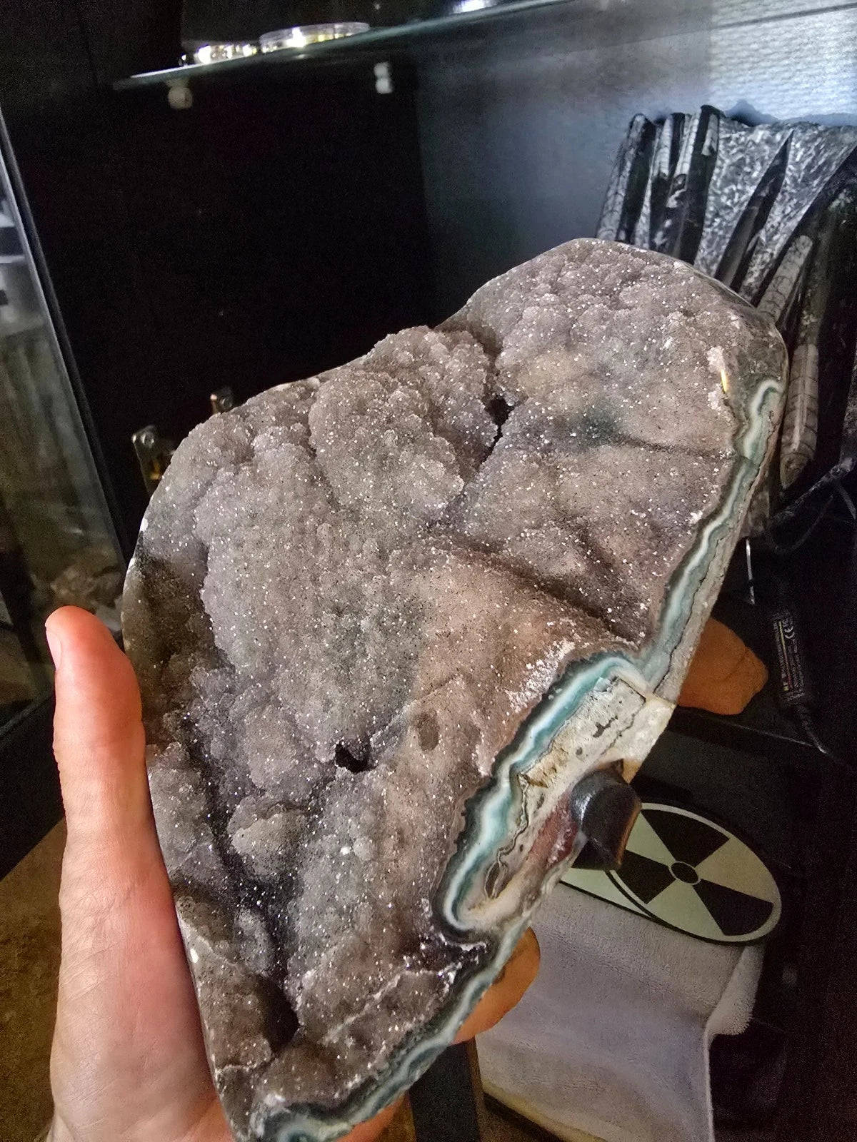 crystals/geode<wbr/>. Druzy Quartz Amethyst Geode from fossilera.
