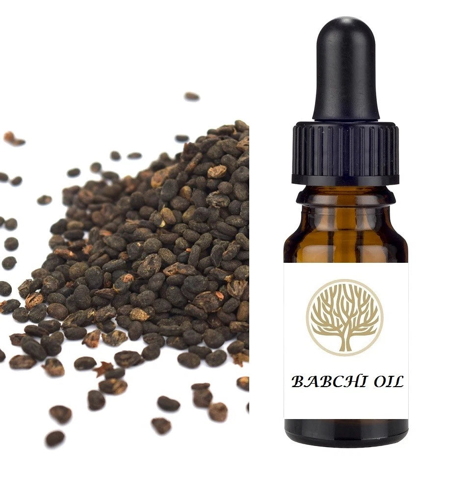 Reines 100 % NATÜRLICHES Babchi Bakuchi Bakuchiol Trägeröl für Aromatherapie Mischungen