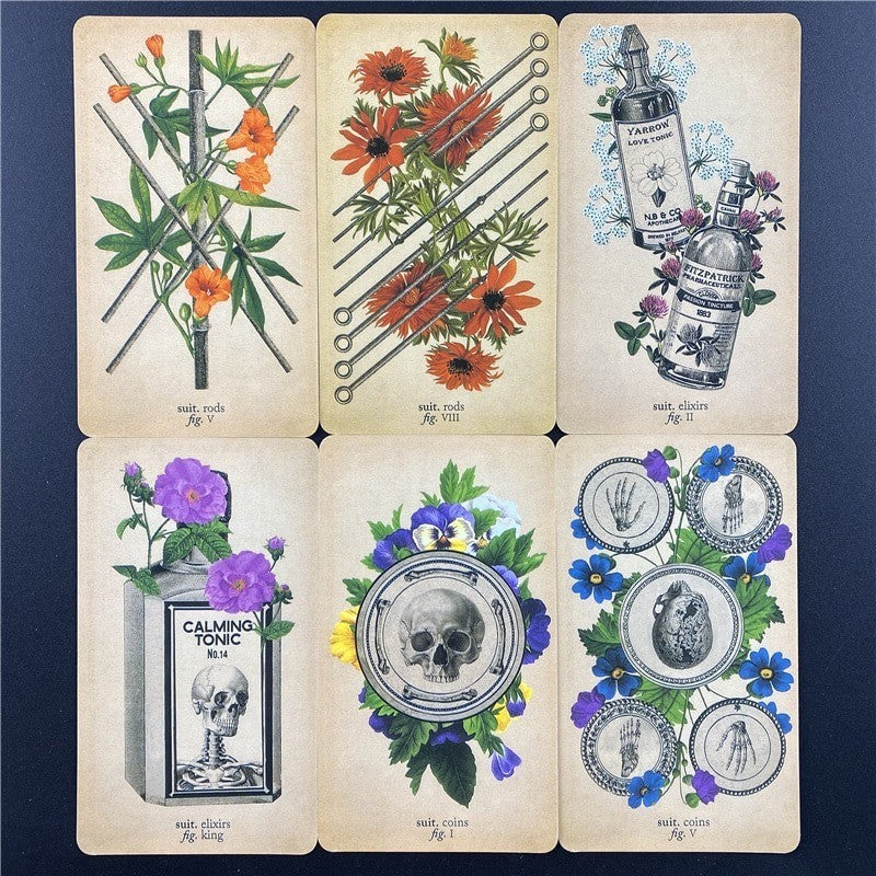The Antique Anatomy Tarot Deck 78 Cards Vintage