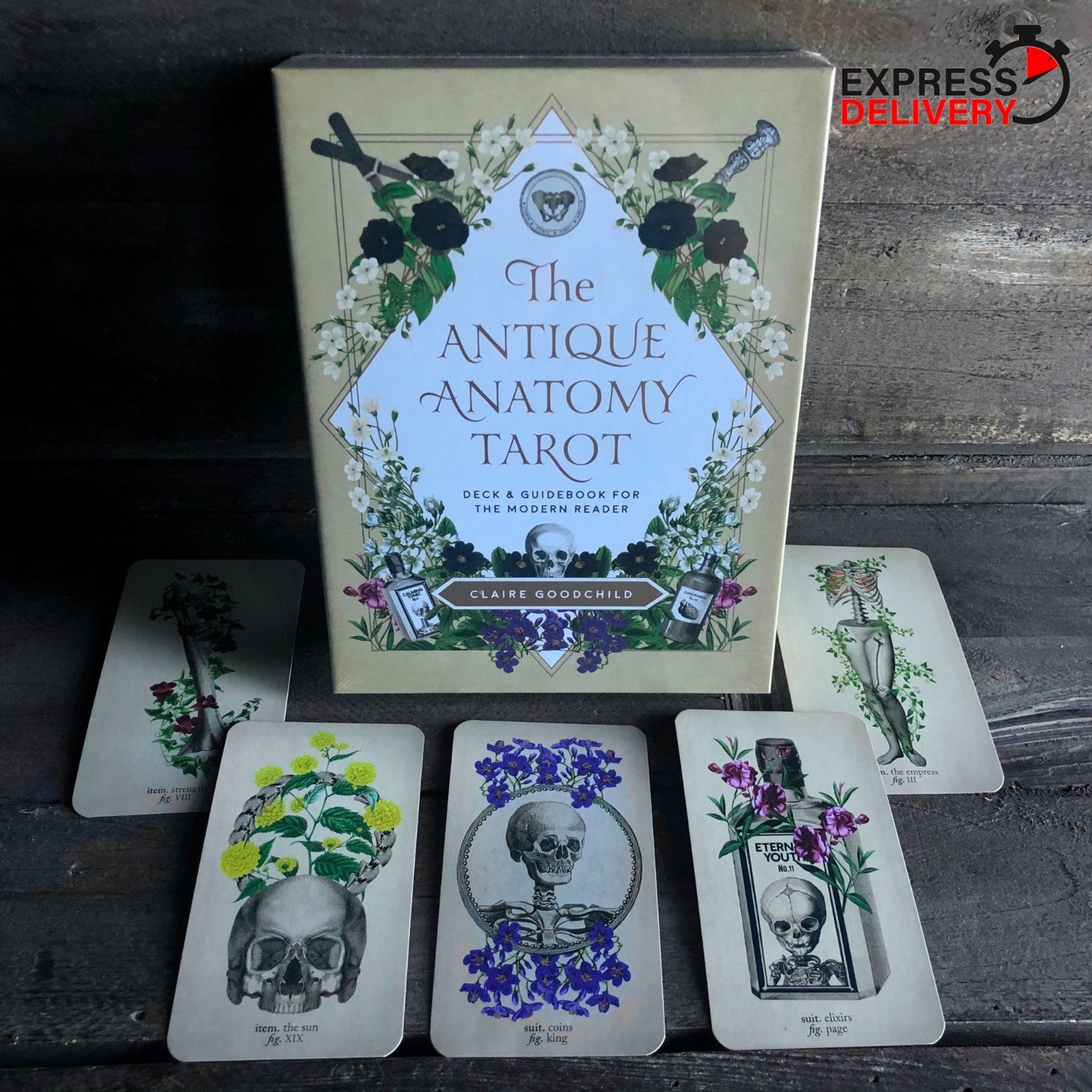 The Antique Anatomy Tarot Deck 78 Cards Vintage