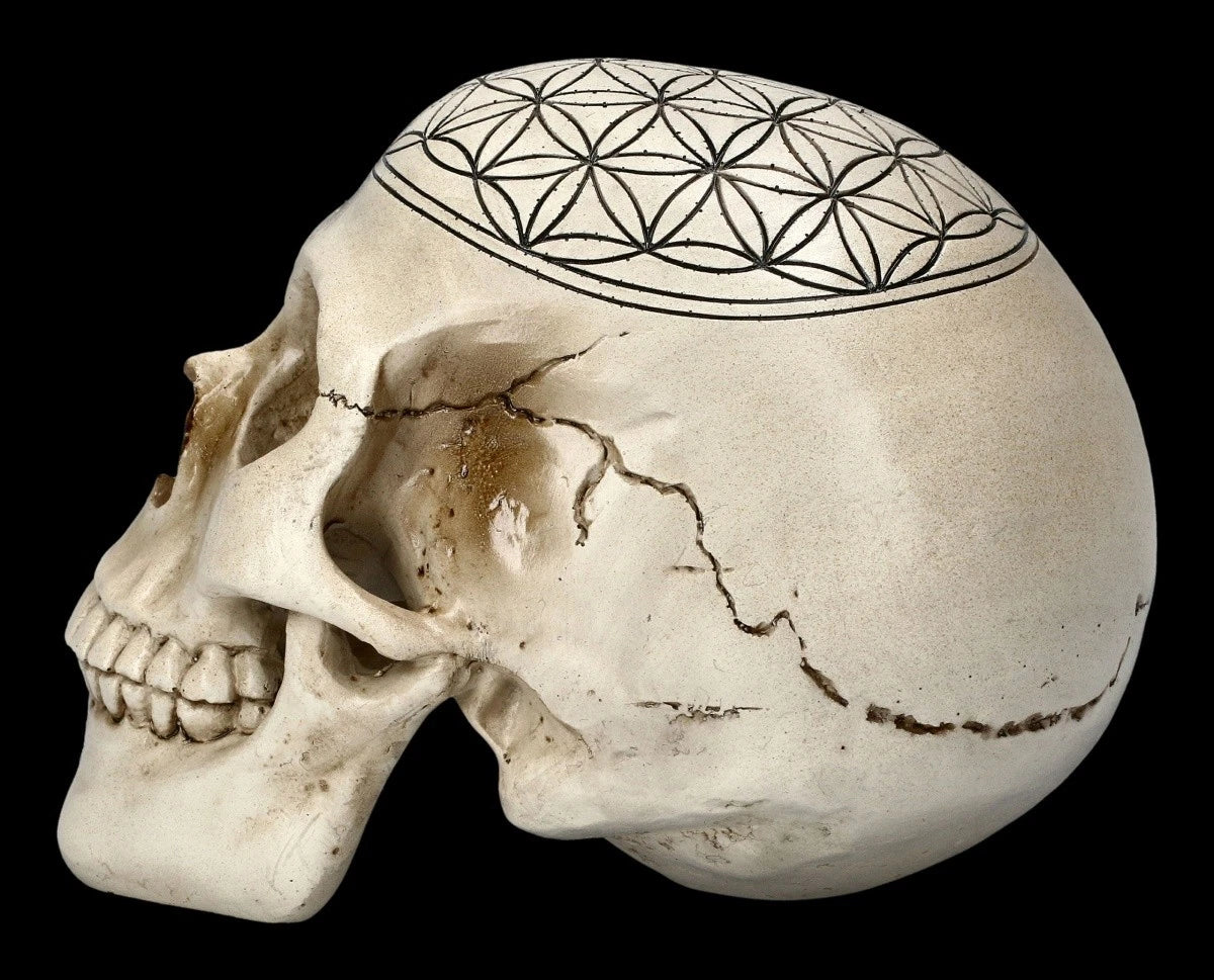 Totenkopf Heilige Geometrie - Blume des Lebens - spirituelle Schädel Figur - Dek