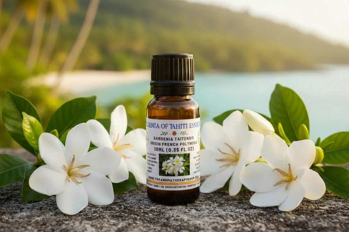 Gardenia of Tahiti reines ätherisches Öl