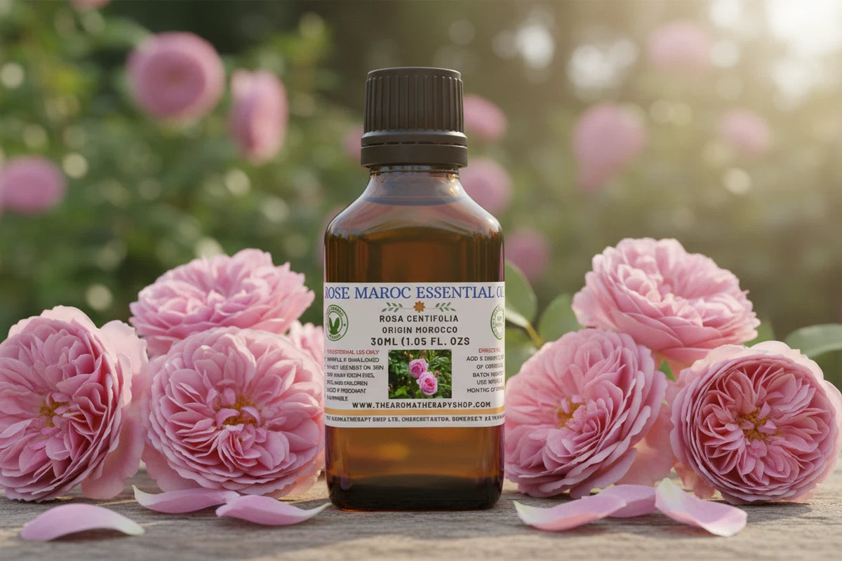 Rose Maroc ätherisches Öl