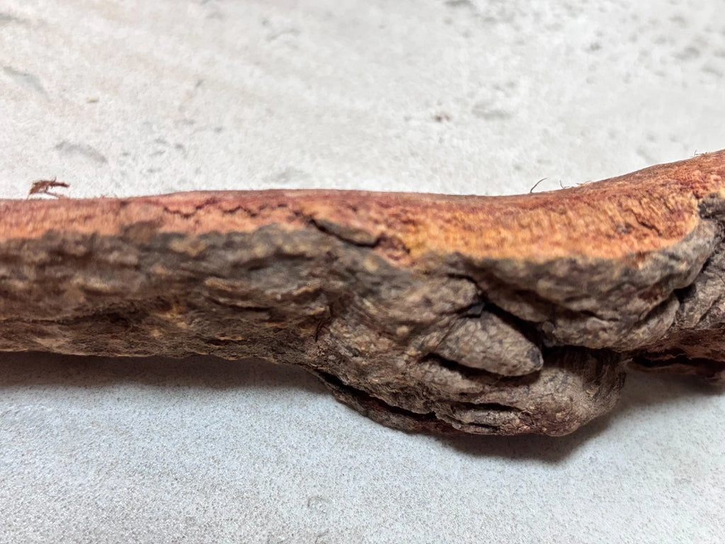 African Mahogany Khaya Senegalensis Bark for Energy and Aura Cleansing 250 g